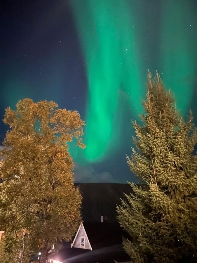 Tromso Arctic Villa With Free Parking Екстер'єр фото