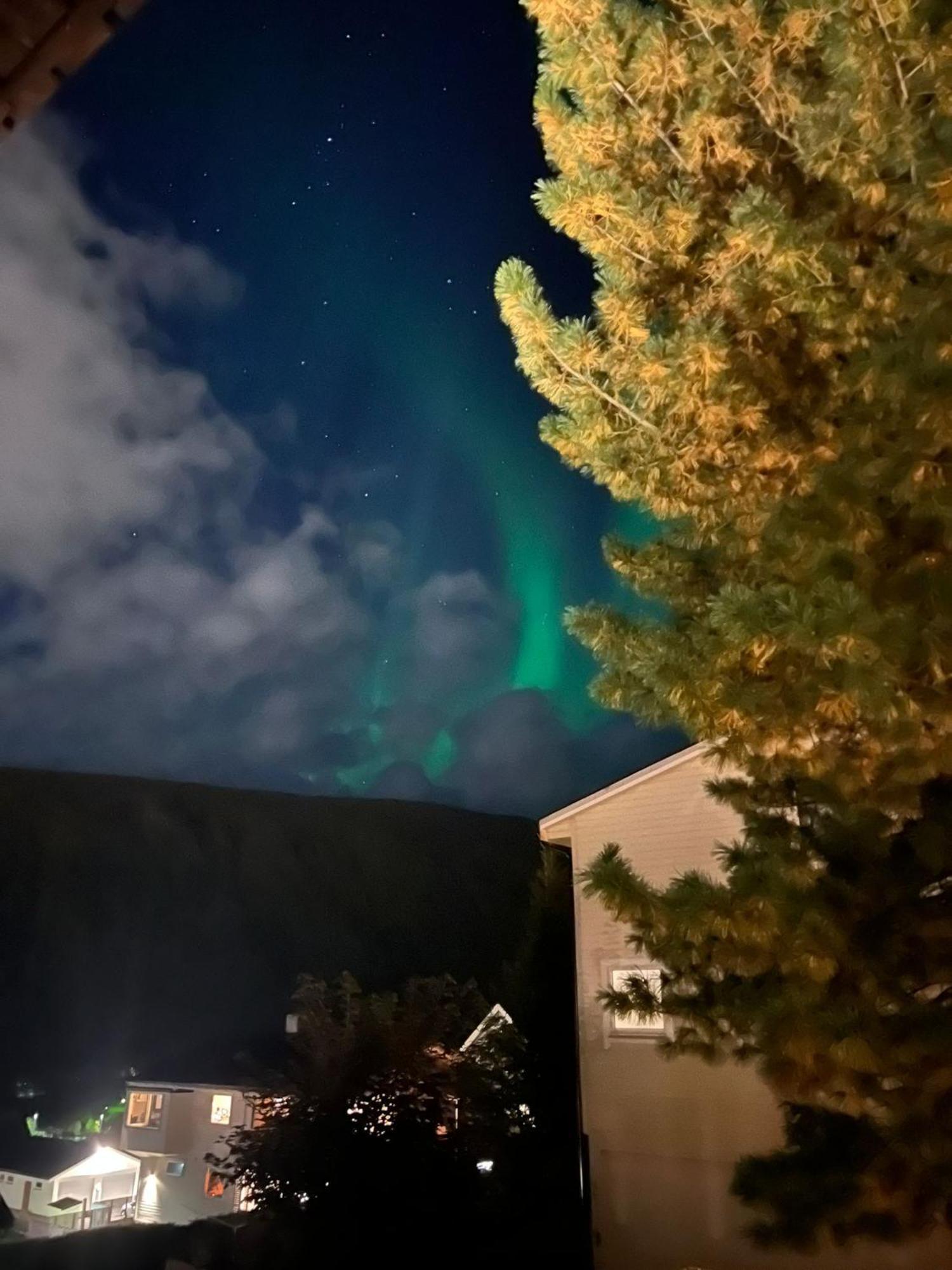 Tromso Arctic Villa With Free Parking Екстер'єр фото